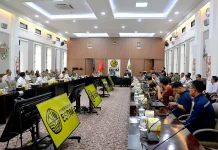 Pemprov Maluku Dukung Percepatan Pengembangan Blok Masela