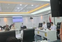 Hilirisasi Ubi Kayu Jadi Bioetanol di Maluku Disetujui, Buru Selatan Jadi Andalan