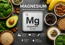Magnesium, Mineral Penting yang Sering Terlupakan