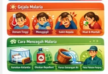 Penting Kenali Gejala Malaria agar Cepat Cegah Penularan