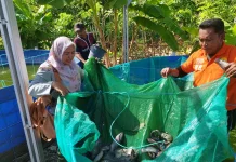 Tingkatkan Produktivitas, Lapas Namlea Pasarkan Hasil Panen Ikan Nila