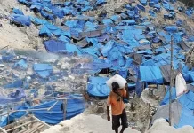 Memburu Cukong Gunung Botak: ESDM Siap Buka Identitas Pelaku Tambang Emas Ilegal