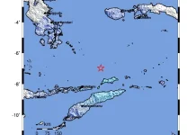 BMKG : Gempa Tektonik Alor Tidak Berpotensi Tsunami