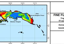 BMKG Ingatkan Potensi Karhutla di Maluku Masih Tinggi