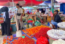 Harga Komoditi Bawang, Cabai, hingga Tomat di Ambon Fluktuatif