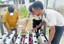 Lapas Geser Bekali Warga Binaan Penanaman Sayuran Sawi