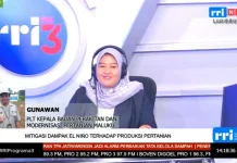 Maluku Siaga Hadapi El Nino, Mitigasi Sektor Pertanian Diperkuat