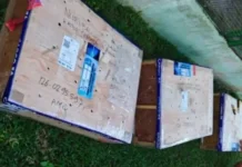 Puluhan Satwa Liar Jalani Rahabilitas di BKSDA Maluku