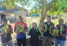 Lapas Wahai Panen 200 Bonggol Jagung, Wujud Nyata Kemandirian Pangan