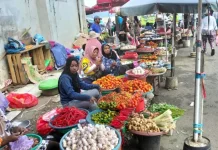 Pasokan Melimpah, Harga Cabai hingga Tomat di Ambon Mulai Turun