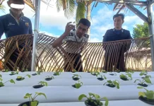 Petugas Lapas Geser Tinjau Penyajian Makanan Warga Binaan dan Perkembangan Sayur