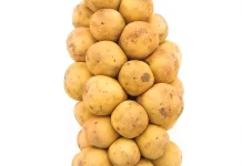 Jangan Lewatkan Duku, Buah Lokal dengan Segudang Nutrisi