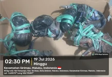 Petugas Gagalkan Penyelundupan Kepiting Kenari & Miras di KM. Nggapulu