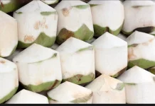 Air Kelapa, Minuman Alami dengan Segudang Manfaat bagi Kesehatan