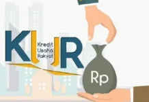 Penyaluran KUR di Maluku Lampaui Target, Tembus Rp1,02 Triliun
