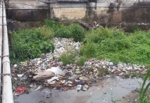DLHP Ambon: Kesadaran Masyarakat Jadi Kunci Atasi Sampah di Sungai