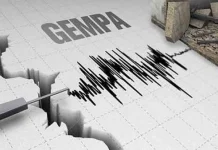 Awal Agustus, Maluku Diguncang Gempa Tektonik M5,5 SR