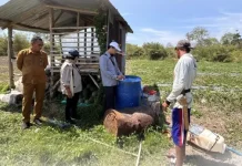Dukung Ketahanan Pangan, Kelompok Tani di Tual Terima Bantuan Irigasi Perpompaan