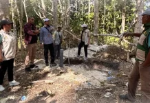 Tingkatkan Produksi Pertanian, BRMP Maluku Pastikan Bantuan Irpom Tepat Sasaran