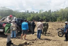 Progres Cetak Sawah 141 Hektare di Kabupaten SBT Dikawal BRMP Maluku