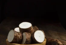 Singkong, Pangan Lokal Kaya Manfaat yang Bernilai Ekonomi Tinggi