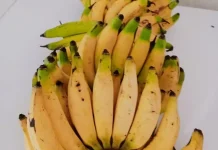 Manfaat Pisang Jarum bagi Kesehatan