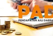 Pemprov Maluku Genjot Investasi dan Hilirisasi SDA Perkuat PAD