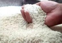 Komoditi Beras Jadi Penyumbang Terbesar Garis Kemiskinan di Maluku