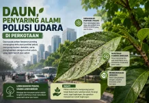 Daun, Penyaring Alami Polusi Udara di Perkotaan