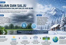 Hujan dan Salju Bersaudara dalam Siklus Air Bumi