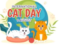 Hari Kucing Internasional Ajak Masyarakat Peduli Kesejahteraan Kucing Dunia