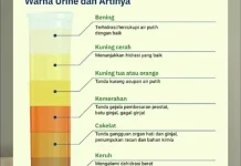 Dokter Sofyan Umarella Jelaskan Cara Sederhana Amati Kondisi Ginjal
