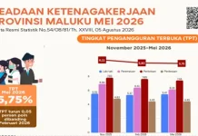 Pengangguran di Maluku Turun, Per Mei 2026 Tecatat 5,75 Persen