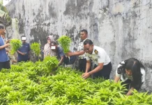Lapas Geser Sukses Panen 170 Ikat Kangkung Hidroponik