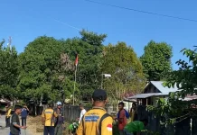 Pegawai Rutan Masohi Kompak Ciptakan Lingkungan Asri jelang HUT RI