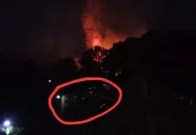 Kebakaran Hutan di STAIN Kahena, Damkar Ambon Kerahkan 17 Personel