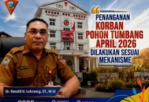 Jubir Pemkot Ambon: Korban Pohon Tumbang 2026, Ditangani Sesuai Mekanisme