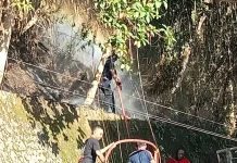 Kebakaran Sampah Merambat ke Hutan di BTN Kanawa, Damkar Ambon Kerahkan Empat Unit
