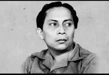 Sutan Sjahrir, Tokoh Diplomasi Kemerdekaan Indonesia