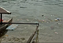 Anak Muda Ambon Dorong Kolaborasi Jaga Teluk dari Sampah Laut