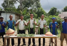 Ubah Lahan Tidur Jadi Produktif,Lapas Ambon Panen 30 Ikat Kacang Panjang