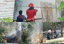 Kebakaran Sampah Dekat Rumah Warga di Batu Merah, Damkar Kerahkan Empat Unit