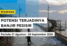 Banjir Rob Ancam Pesisir Maluku, Masyarakat Diminta Waspada
