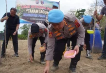 Polisi Sulap Lahan Dua Hektare di Buru jadi Kebun Jagung