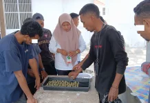 Warga Binaan Lapas Geser Dilatih Olah Pupuk Organik dan Pembibitan