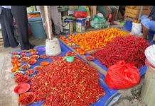 Harga Tomat Murah di Pasar Mardika Ambon