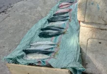 Harga Ikan di Pasar Mardika Masih Tinggi