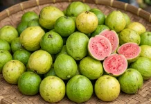 Jambu Biji Kaya Manfaat dan Mendukung Pemulihan Tubuh