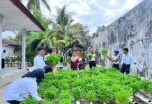 Lapas Geser Panen 90 Ikat Kangkung Hidroponik Modifikasi, Dukung Ketahanan Pangan