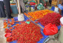 Dipicu Cuaca Ekstrem, Harga Cabai di Ambon Tembus Rp120 Ribu Per Kilogram